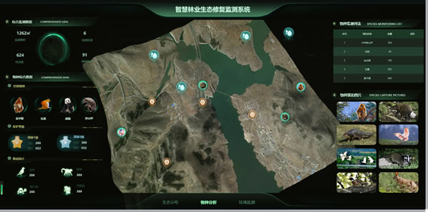 【场景】智慧林业生态修复监测系统