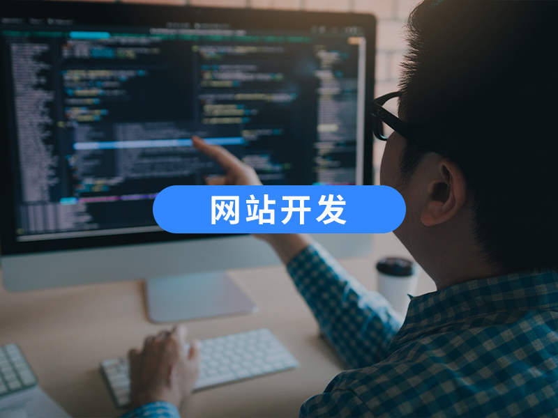 网站开发